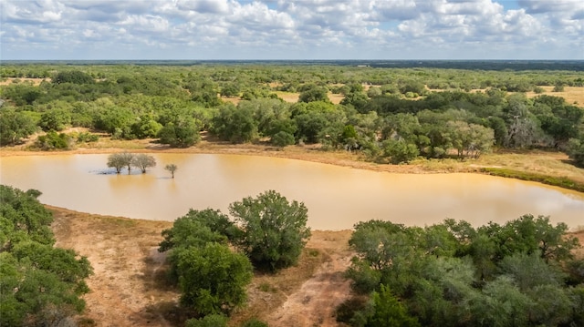 15272 State Highway 111 E, Yoakum, TX 77995 - photo 24