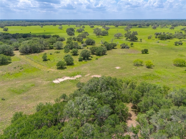 15272 State Highway 111 E, Yoakum, TX 77995 - photo 26