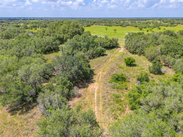 15272 State Highway 111 E, Yoakum, TX 77995 - photo 27