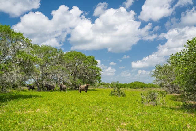15272 State Highway 111 E, Yoakum, TX 77995 - photo 15