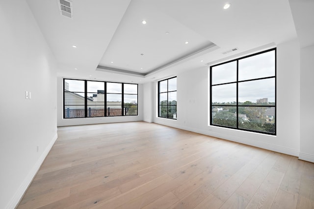 spare room with a raised ceiling and light hardwood / wood-style flooring