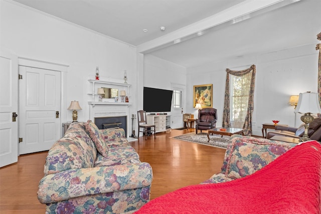 living room featuring wood-type flooring