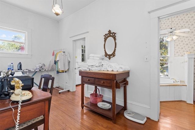 bathroom featuring ceiling fan, wood-type flooring, and ornamental molding