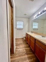 bathroom featuring wood-type flooring, vanity, and toilet