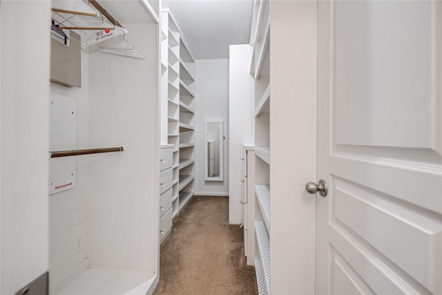 spacious closet with carpet flooring