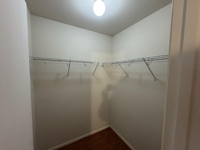 spacious closet featuring dark hardwood / wood-style flooring