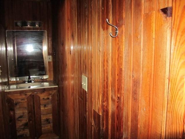 bathroom with wooden walls and sink