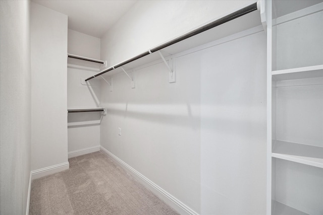 spacious closet featuring light carpet