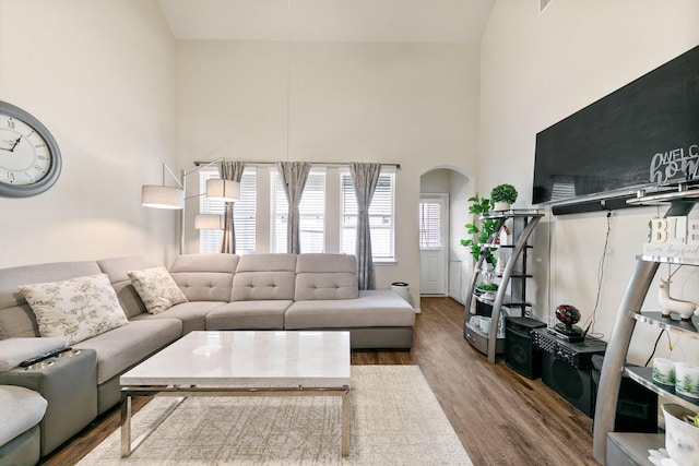 living room featuring hardwood / wood-style floors and a high ceiling