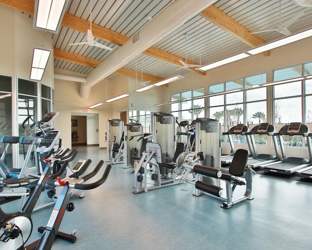 exercise room featuring a towering ceiling