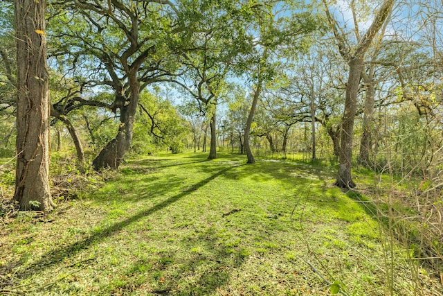 297 Hargett St, Clute, TX 77531 - photo 20