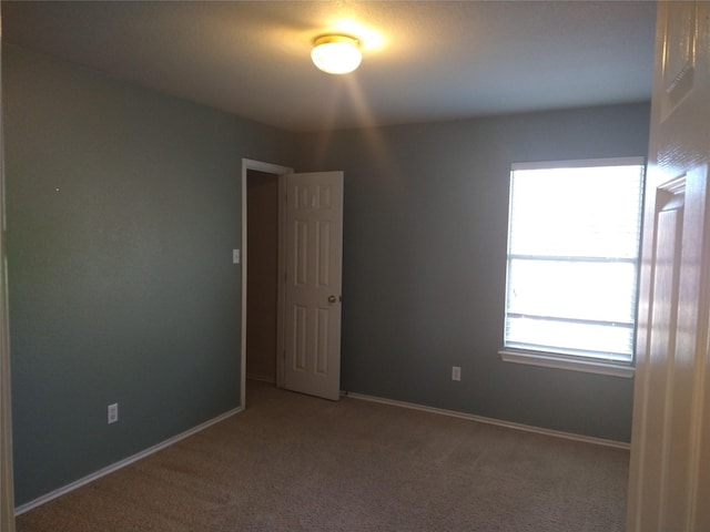 spare room with carpet