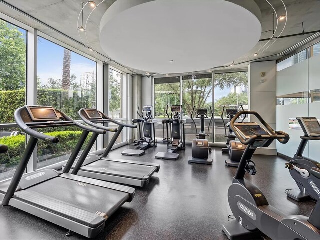 exercise room with a healthy amount of sunlight and floor to ceiling windows