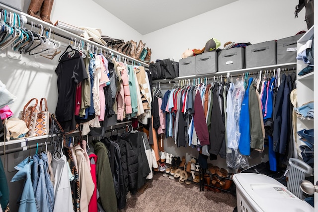 spacious closet featuring carpet flooring