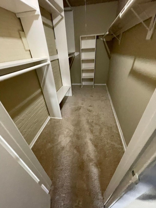 walk in closet featuring carpet floors