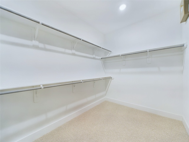 walk in closet featuring carpet flooring