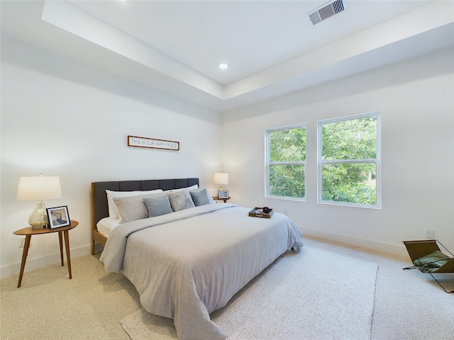 carpeted bedroom with a raised ceiling