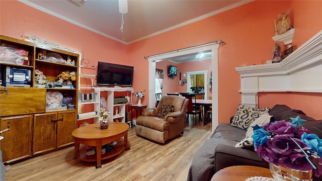 living room with crown molding, light hardwood / wood-style flooring, and ceiling fan