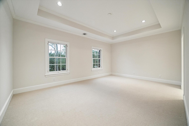 carpeted spare room featuring a raised ceiling and ornamental molding