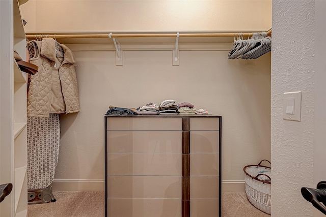 spacious closet with light carpet