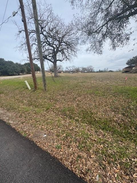 Listing photo 2 for TBD W Bullard St, Madisonville TX 77864