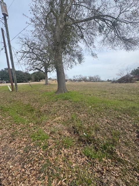 Listing photo 3 for TBD W Bullard St, Madisonville TX 77864