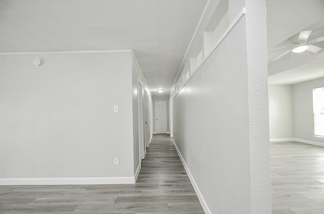 corridor featuring wood-type flooring and crown molding