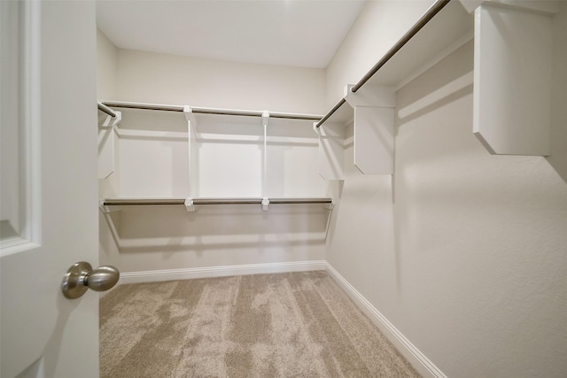walk in closet featuring carpet flooring