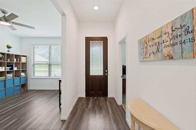 foyer with ceiling fan and dark wood-type flooring