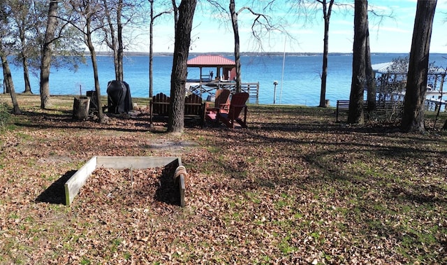 dock area with a water view