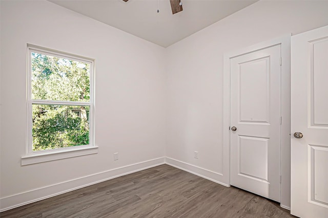 unfurnished room featuring ceiling fan, wood-type flooring, and a wealth of natural light