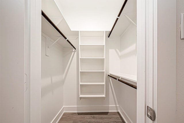 spacious closet with dark hardwood / wood-style floors