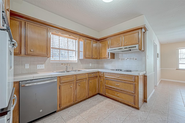 kitchen featuring tasteful backsplash, stainless steel dishwasher, plenty of natural light, and sink