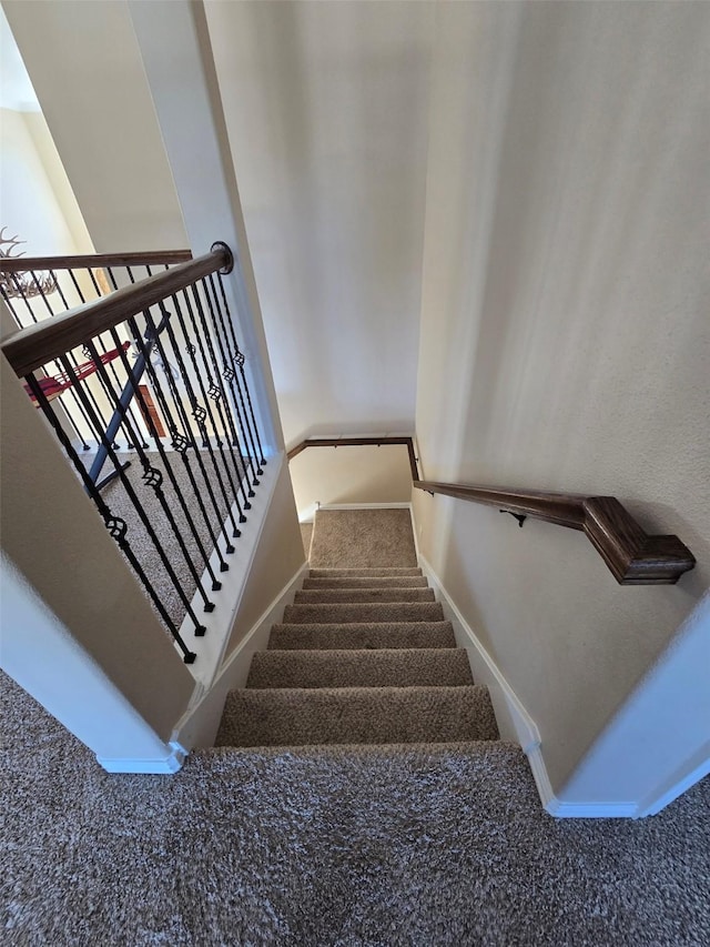 staircase featuring carpet