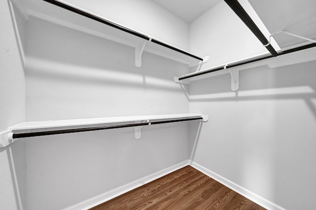 spacious closet with dark wood-type flooring