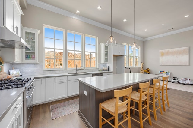 kitchen featuring white cabinetry, a center island, sink, a kitchen breakfast bar, and high end stove