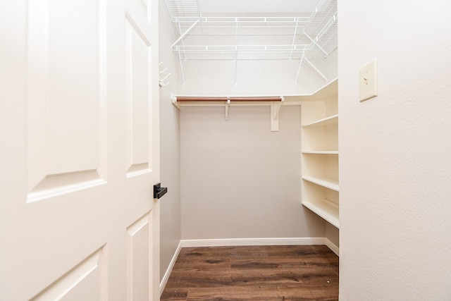 spacious closet featuring wood-type flooring