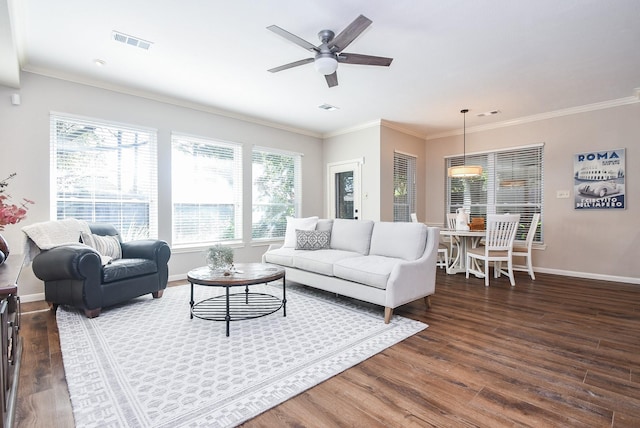 living room featuring ceiling fan, dark hardwood / wood-style flooring, and crown molding