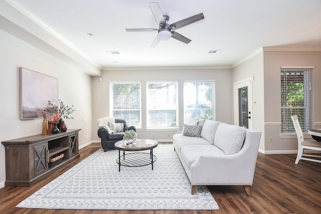 living room with ceiling fan, crown molding, and dark wood-type flooring