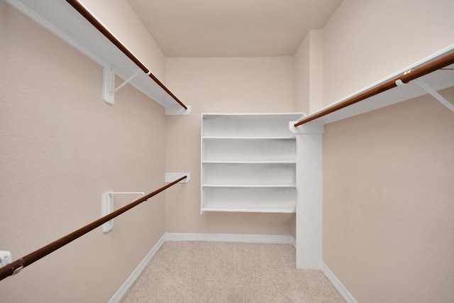 spacious closet with light carpet