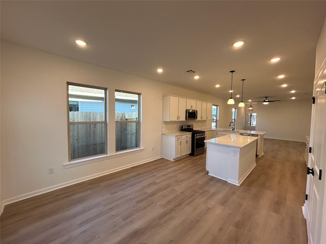 kitchen with recessed lighting, wood finished floors, a sink, open floor plan, and appliances with stainless steel finishes