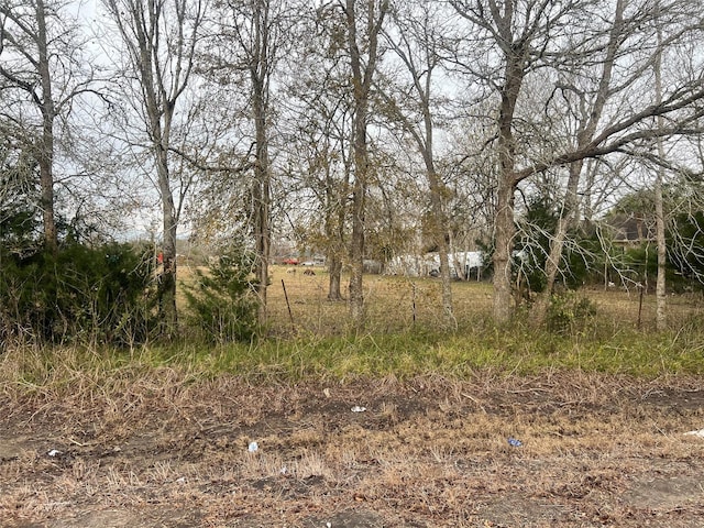 10830 Leslie Ln, Manvel, TX 77578 - photo 4