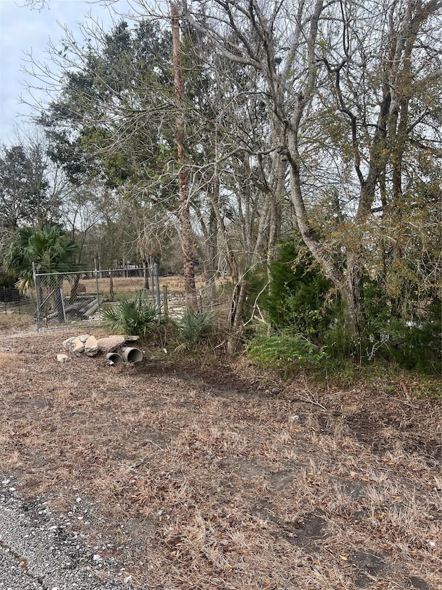 10830 Leslie Ln, Manvel, TX 77578 - photo 5