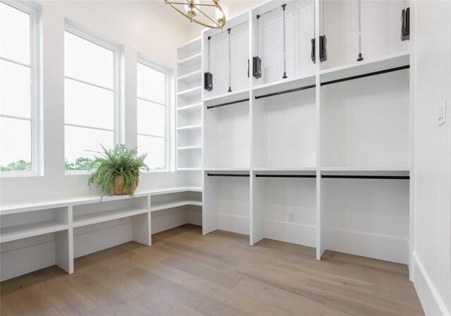 walk in closet featuring light wood-type flooring and a notable chandelier