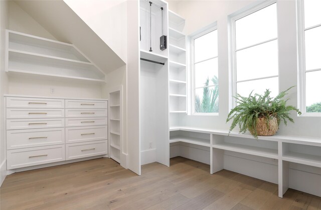 spacious closet featuring vaulted ceiling and light hardwood / wood-style floors