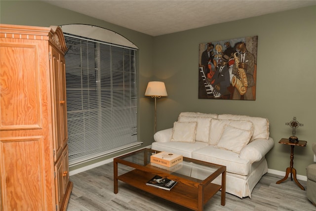 living room featuring light hardwood / wood-style floors