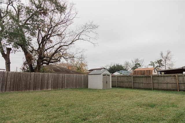 view of yard with a shed