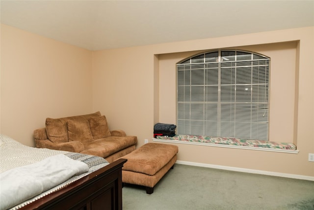 interior space featuring carpet flooring