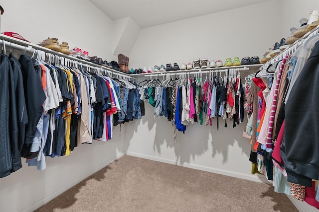 walk in closet featuring carpet floors