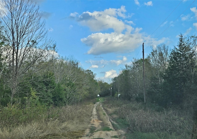 Listing photo 2 for TBD Briarhill Ln, Coldspring TX 77331